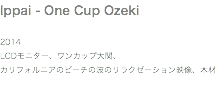 Ippai - One Cup Ozeki 2014 LCDモニター、ワンカップ大関、 カリフォルニアのビーチの波のリラクゼーション映像、木材